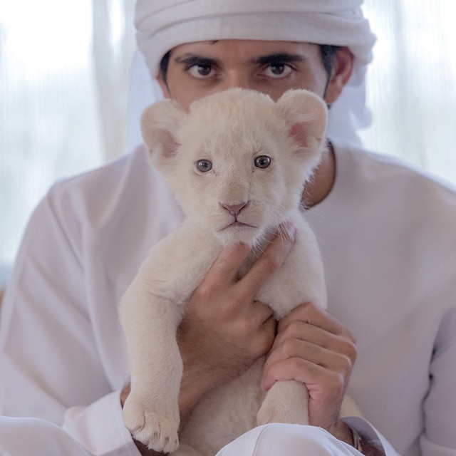 Cum trăiește prințul din Dubai, amestecați