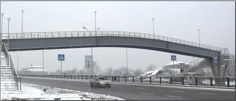 Пешеходный надземный мост в Алматы. Фото с сайта ingener.kz