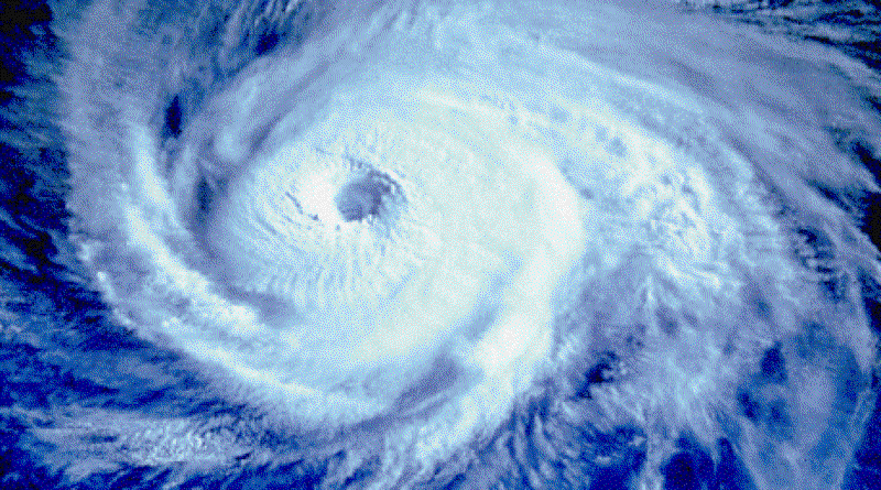 Тайфун. Фото с сайта www.seaspirit.ru