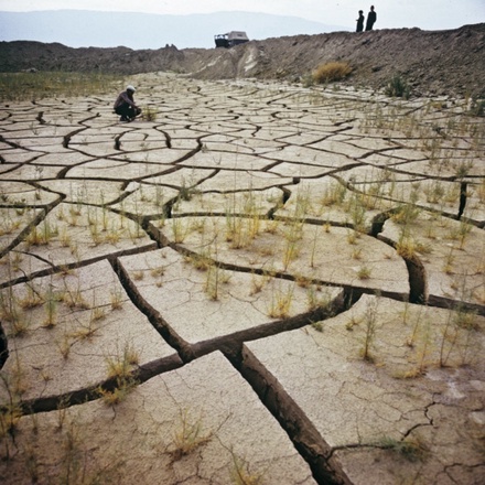 Засуха. Фото ©РИА Новости