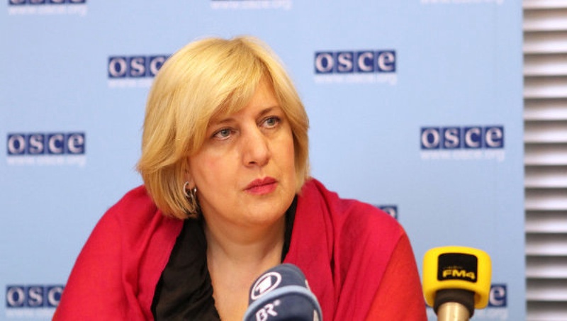 Представитель ОБСЕ по вопросам свободы СМИ Дунья Миятович. ©РИА Новости