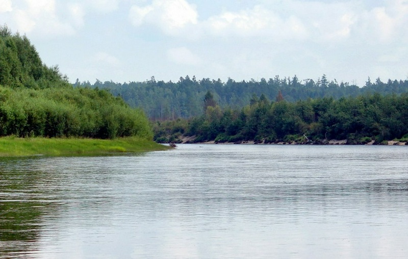 Река Селемджа. © proribu.ru