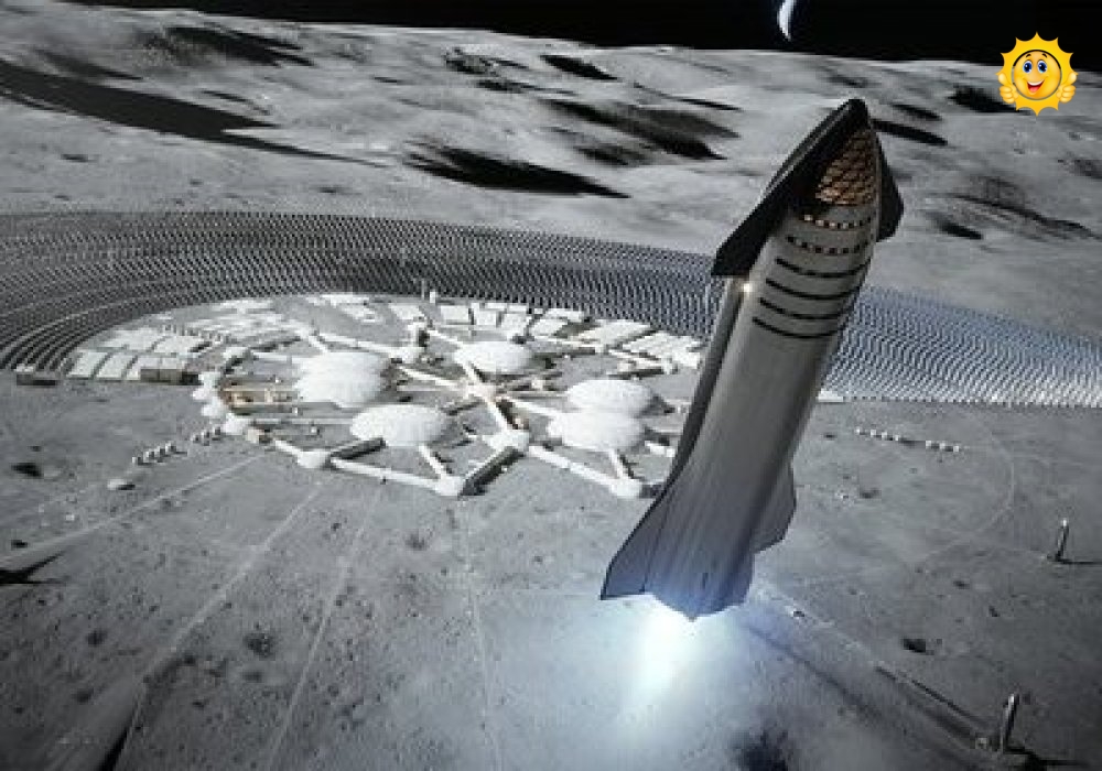 Starship. Фото:Twitter / Space X