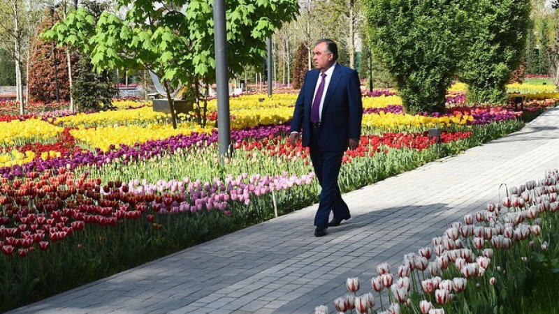 Президент Таджикистана Эмомали Рахмон. © instagram/sputnik_tajikistan