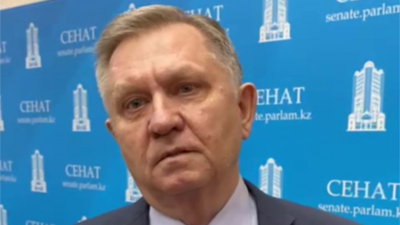 Депутат Сената Казахстана Сергей Ершов. Кадр из видео