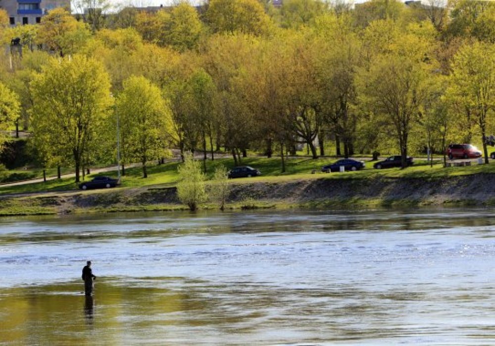 Российско-эстонская граница на реке Нарва. © РИА Новости